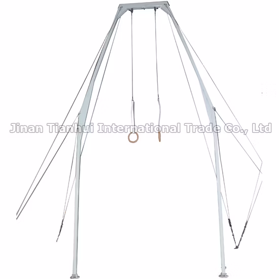 Профессиональный гимнастический тренажер для тренировки силы рук на гимнастическом ринге